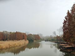 -溱湖国家湿地公园