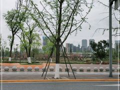 -桂溪生态公园