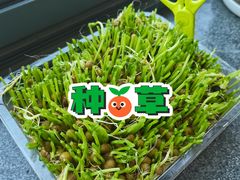 -海底捞火锅(枫蓝国际购物中心店)