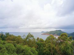 -广东惠东海龟国家级自然保护区