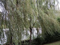 -汉长安城未央宫国家考古遗址公园