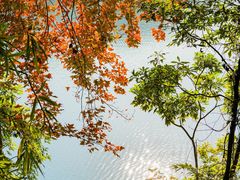-广州市白云山风景名胜区