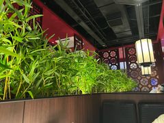 -山城辣妹子(定福庄店)