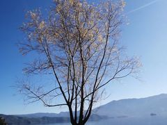 -丽江泸沽湖景区