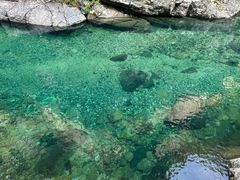 -石台牯牛降景区