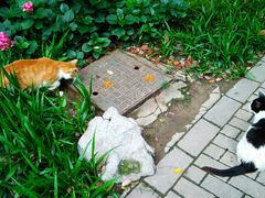 -静安公园(静安寺街道)