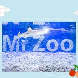 六一出行打卡好去处