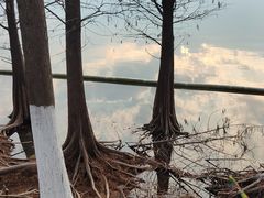 -滆湖低碳生态公园