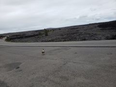 -夏威夷火山国家公园