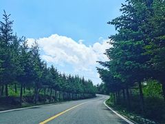-灵山