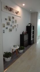 -榕树上·瑜伽普拉提