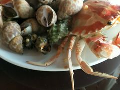 -荣誉国际酒店-云顶旋转餐厅