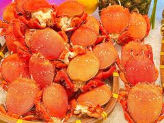 -怡聚轩全日制自助餐厅(大中华喜来登酒店)