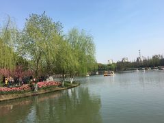 -圩墩遗址公园