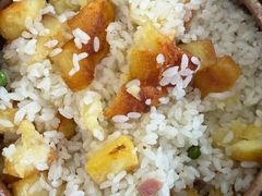 -姚记抚仙湖野生菌石锅鱼庄