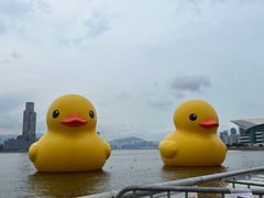 -香港都会海逸酒店