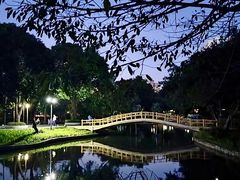 -晓港公园