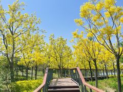 -东郊湿地公园