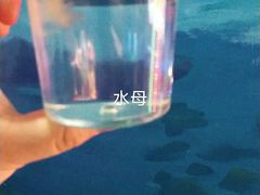 -常州海昌海洋探索馆