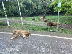 -乐和乐都主题乐园