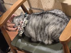 -H立方实景剧情密室(天河旗舰店)