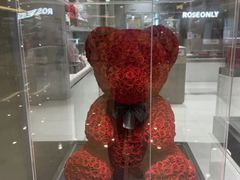 -ROSEONLY诺誓(国际广场购物中心店)