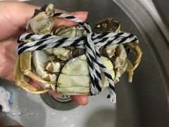 -喜洋洋蟹庄(阳澄湖店)