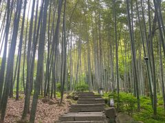 -杭州黄龙洞