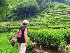 -香芙茗茶楼(梅家坞店)