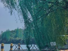 -东钱湖旅游度假区