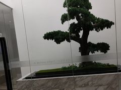 -柏乐口腔医院·舒适化无痛种植牙中心(东盟商务区院)