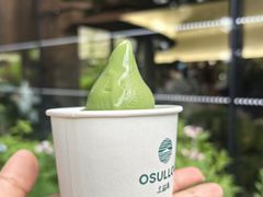 -雪绿茶博物馆