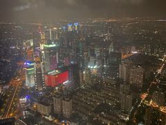 -上海柏悦酒店