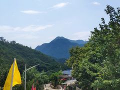 -大岭沟猕猴桃谷风景区