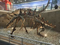 -国家自然博物馆