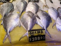 -天宫南铂玫瑰园酒店