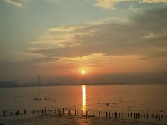 -粤学粤好·港式粤语文化及学习中心(福田南山都有店)
