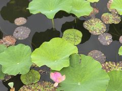 -长广溪湿地公园