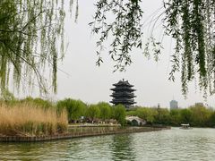 -济南大明湖景区