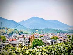 -龙坞茶村