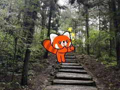 -罗田薄刀峰风景区