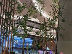 -绿茶餐厅(龙湖杭州金沙天街店)