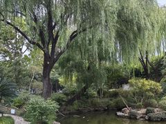 -秋霞圃