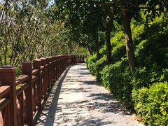 -小南山公园