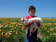 -青海湖国家重点风景名胜区