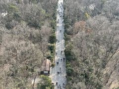 -灵谷景区