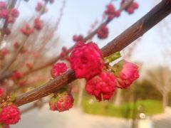 -玲珑塔公园