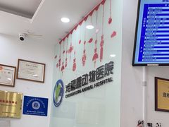 -宠福鑫动物医院(望京分院)