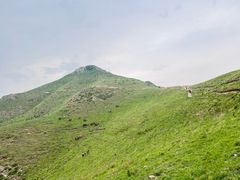 -灵山