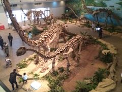 -自贡恐龙博物馆